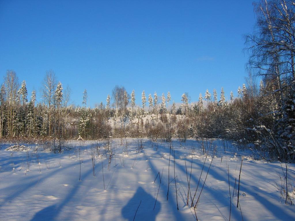 Siikava Ruhmaslehto 빌라 외부 사진